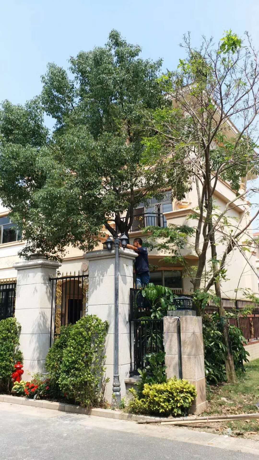 热烈祝贺别墅监控系统工程安装完毕及交付使